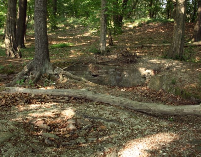 Ardey Castle (Ruin)