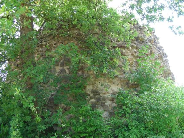 Ibbenbüren Castle (Ruin) (Ibbenbüren)