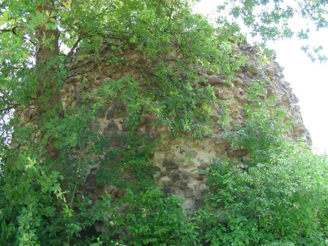 Ibbenbüren Castle (Ruin) (Ibbenbüren)