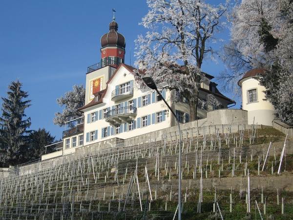 Heerbrugg Castle