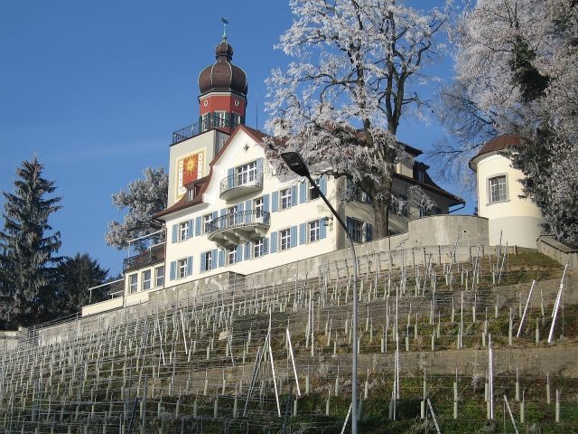 Heerbrugg Castle
