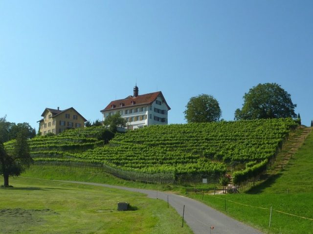 Dottenwil Castle