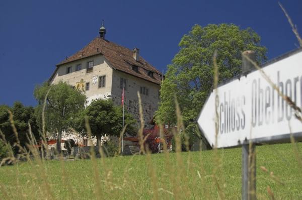 Oberberg Castle (Ruin) (Gossau)