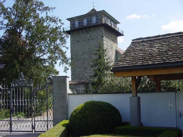 Burg Sulzberg (Untereggen)