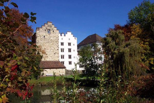 Wartensee Castle (Rorschacherberg)
