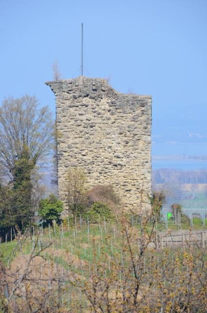 Alt-Rheineck Castle (Ruin)