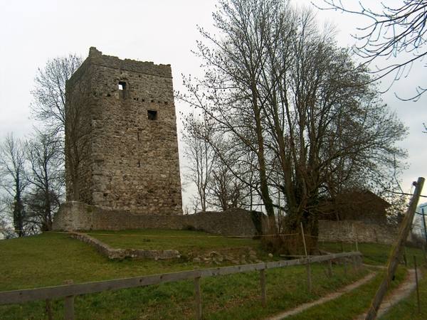 Blatten Castle (Ruin) (Oberriet)
