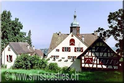 Greifenstein Castle (Thal)