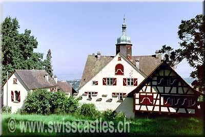 Greifenstein Castle (Thal)