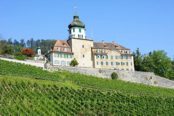 Grünenstein Castle (Balgach)