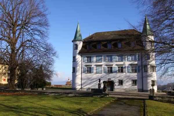 Risegg Castle (Thal)