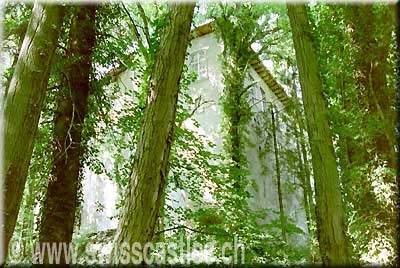 St. Anna Castle (Rorschach)