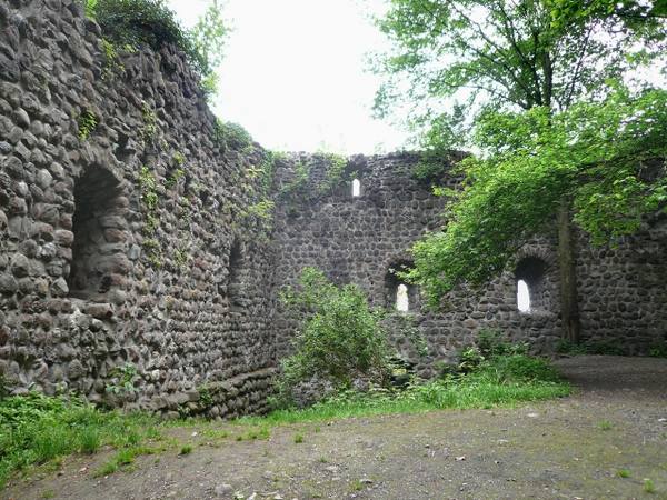 Steinerburg Castle (Ruin) (Steinach)