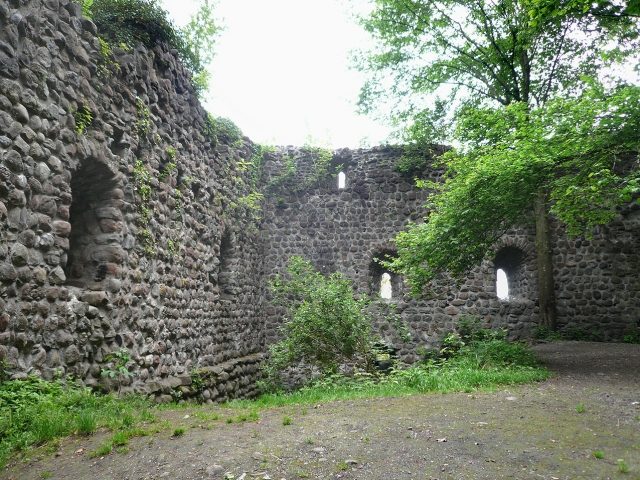 Steinerburg Castle (Ruin) (Steinach)