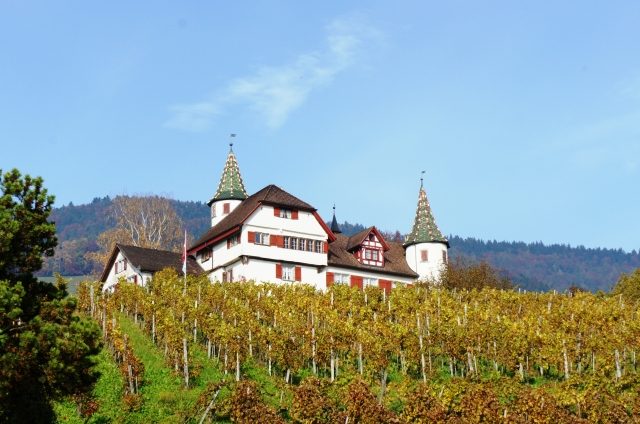 Weinstein Castle (Marbach)