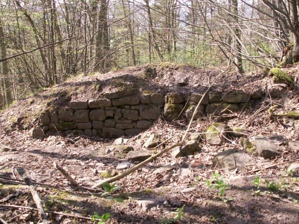 Ruine Steineck
