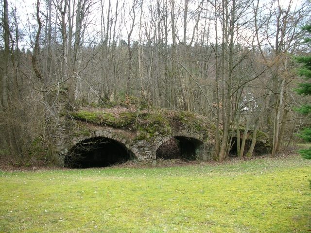 Burgwallbach Castle (Ruin)