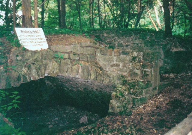 Ruine Wildberg