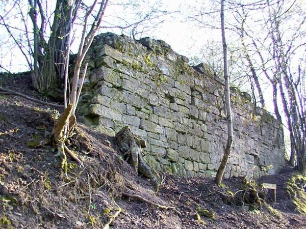 Ebersberg Castle (Ruin)