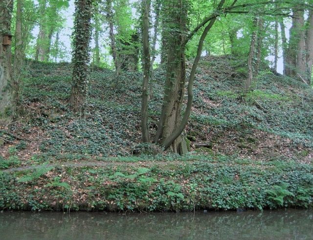 Unterheiligenhoven Castle (Ruin) (Heiligenhoven)
