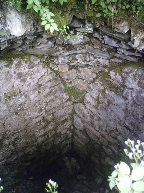 Hohenburg Castle (Ruin)