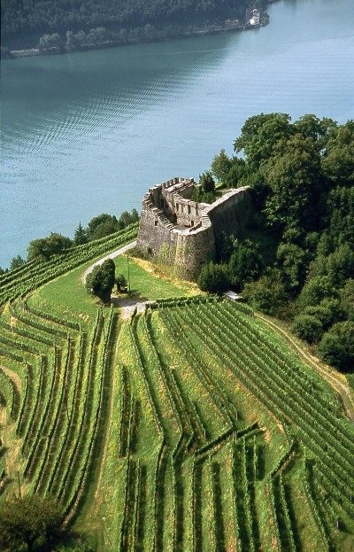 Castello di Morcote (Castle)