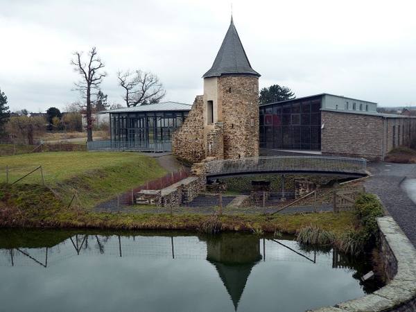 Burgrest Obere Burg Kuchenheim