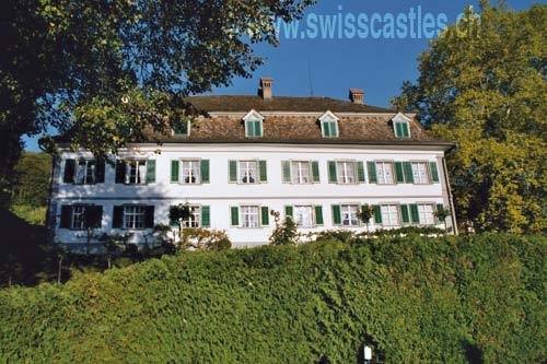 Bachtobel Castle (Weinfelden)