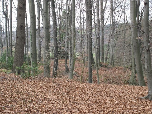 Ruine Zoppesmur (Leysiefen)