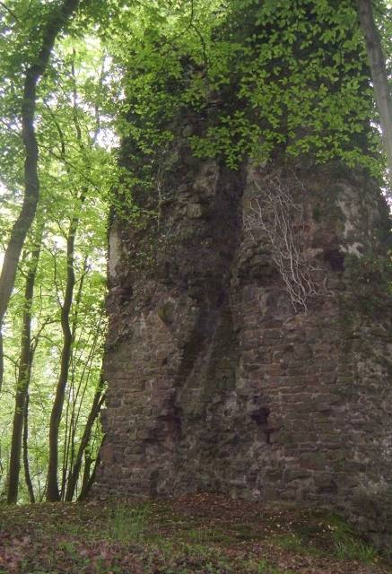 Großbernsau Castle (Ruin) (Overath)