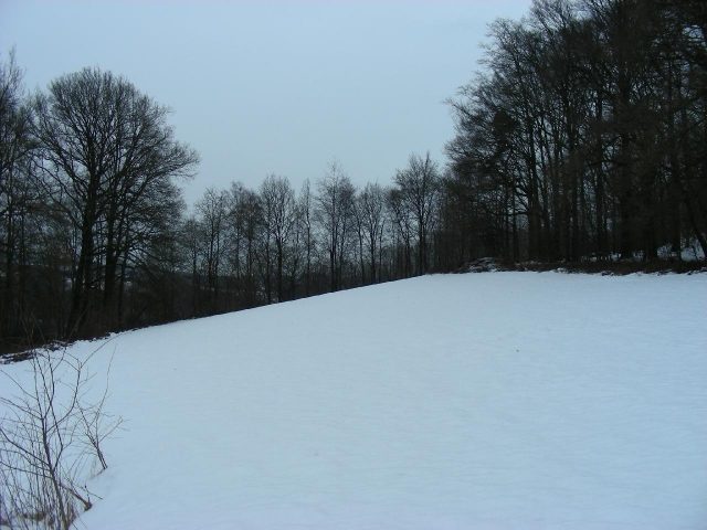 Auelburg Castle (Ruin) (Overath)