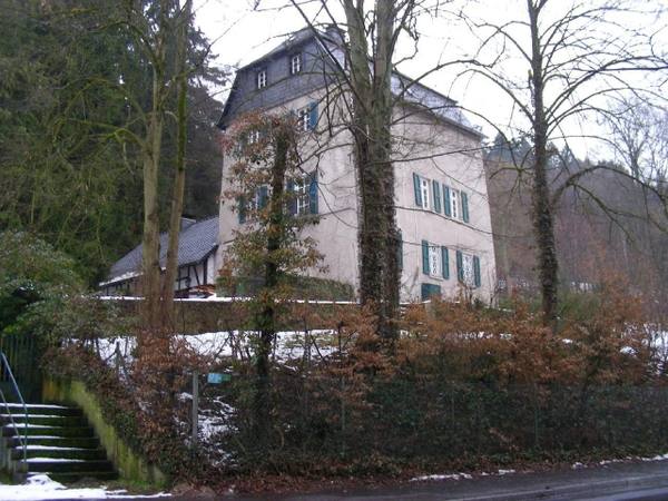Hellenthal Castle (Hoffnungsthal)