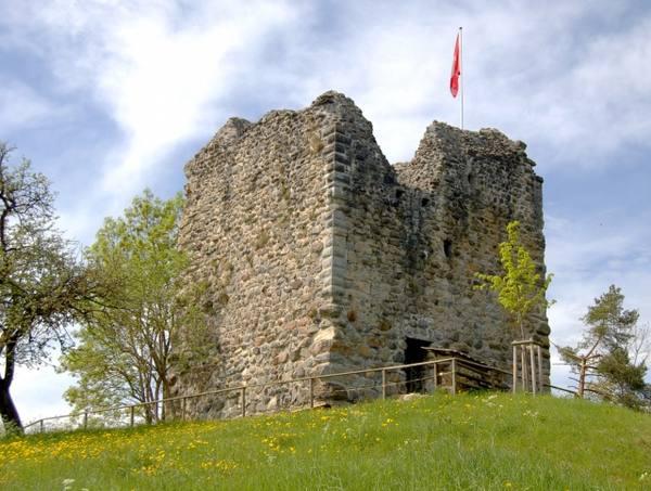 Last Castle (Ruin) (Kradolf-Schönenberg)