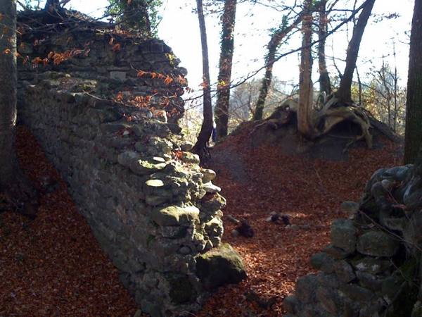 Heuberg Castle (Ruin) (Kradolf-Schönenberg)