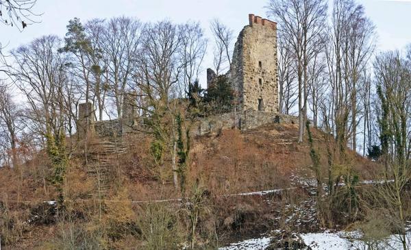 Neuburg Castle (Ruin) (Mammern)