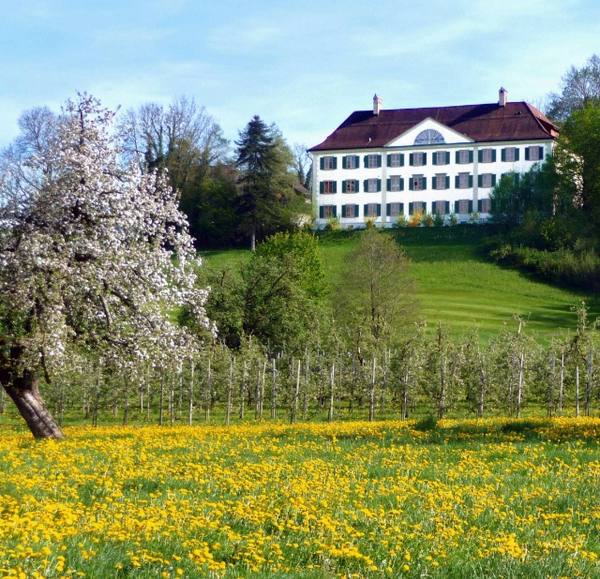 Eppishausen Castle (Erlen)