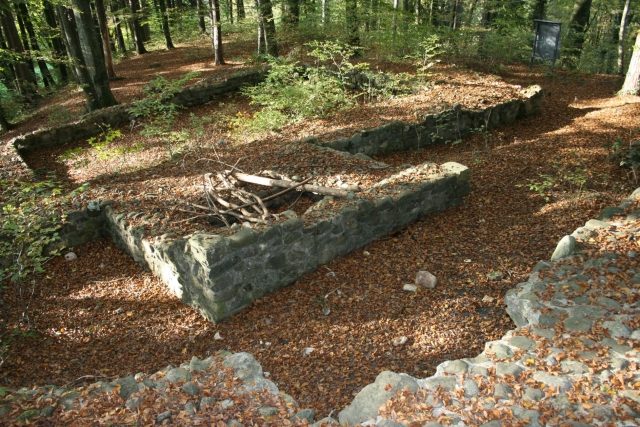 Ruine Schleifenrain (Kemmental)