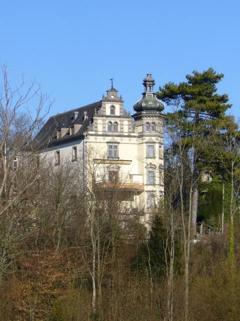 Steinegg Castle (Hüttwilen)