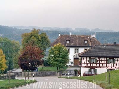 Heidelberg Castle (Hohentannen)