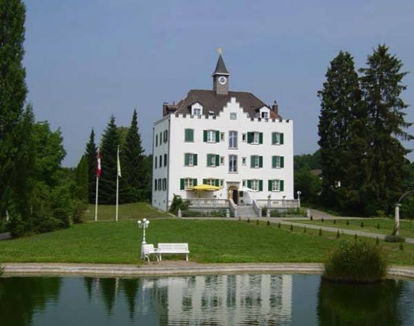 Liebburg Castle (Oberhofen)