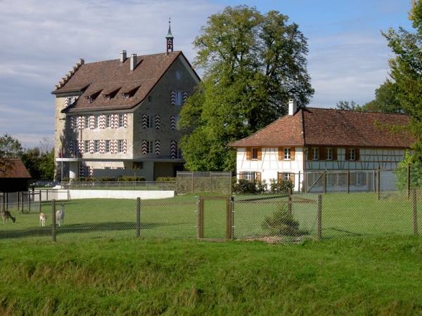 Oettlishausen Castle (Hohentannen)
