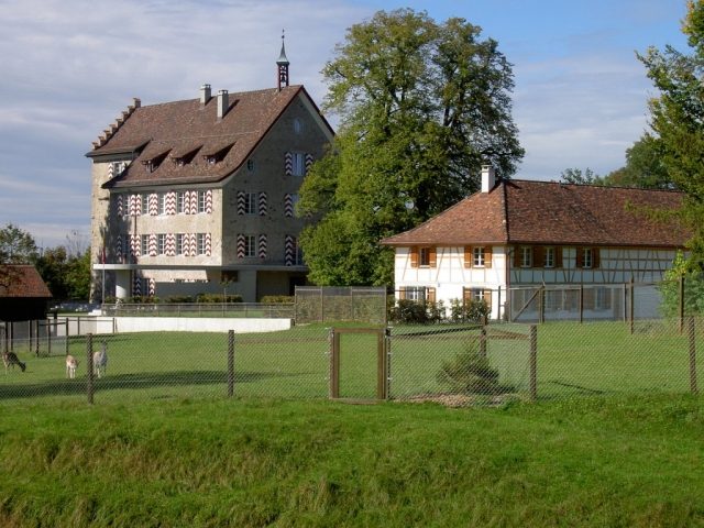 Oettlishausen Castle (Hohentannen)