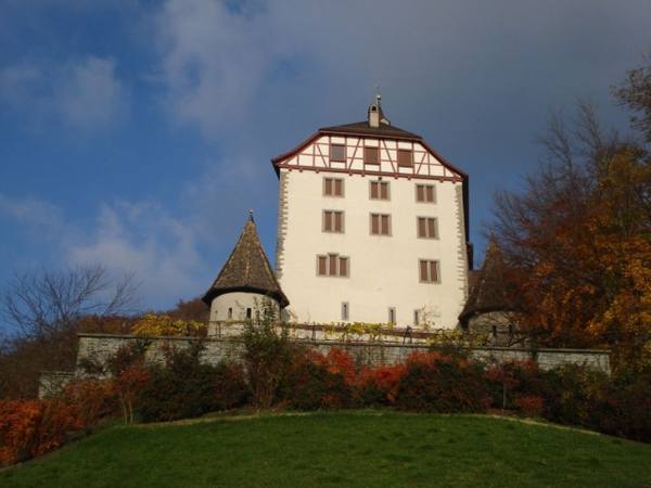 Weinfelden Castle