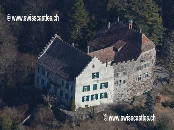 Wellenberg Castle (Frauenfeld)