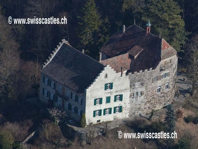 Wellenberg Castle (Frauenfeld)