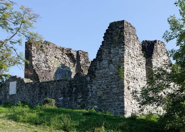 Attinghausen Castle (Ruin)