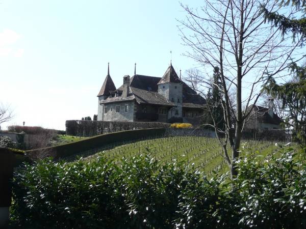 Château Bochat (Paudex)