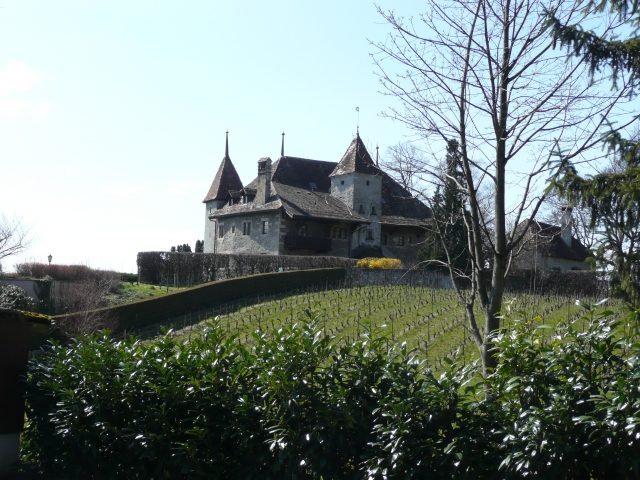 Château Bochat (Paudex)