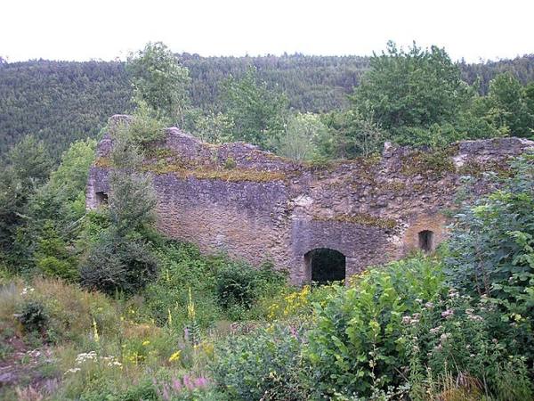Brunneck Castle (Ruin) (Altdorf)