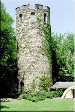 Château Duin (Ruin) (Bex)
